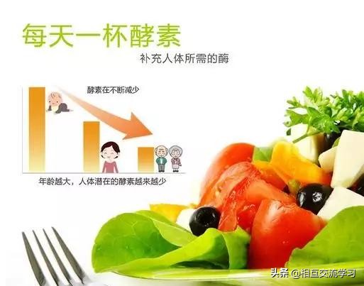 8月上海酵博会告诉您-别人喝酵素瘦了，为什么你胖了？