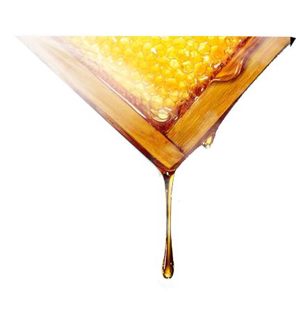 最好的蜂蜜是什么牌的,俄罗斯蜂蜜是什么蜜