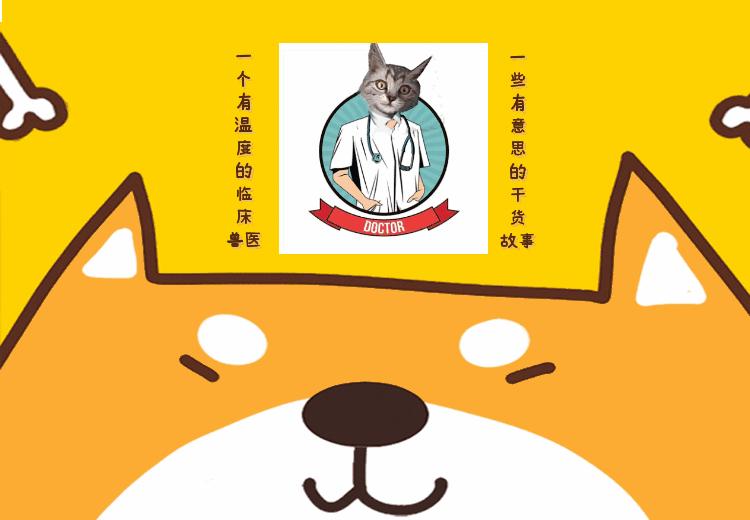 当“村霸鹅”前往英国，会不会有另一副景象？鹅：现在请叫我国霸