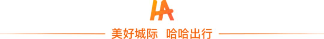 顺风车行业前景分析,顺风车现状