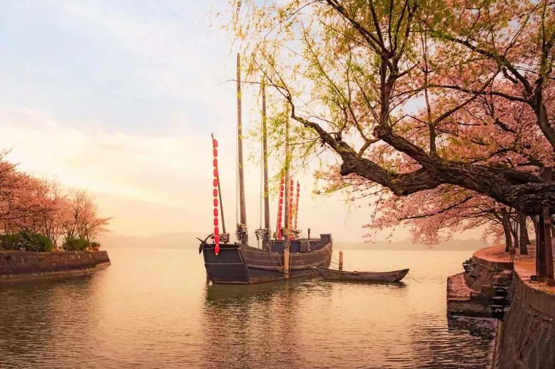 世界最美赏樱地,武汉是全球公认的三大赏樱胜地