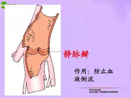挤了三角危险区的痘痘头晕想吐,挤了个痘痘进icu