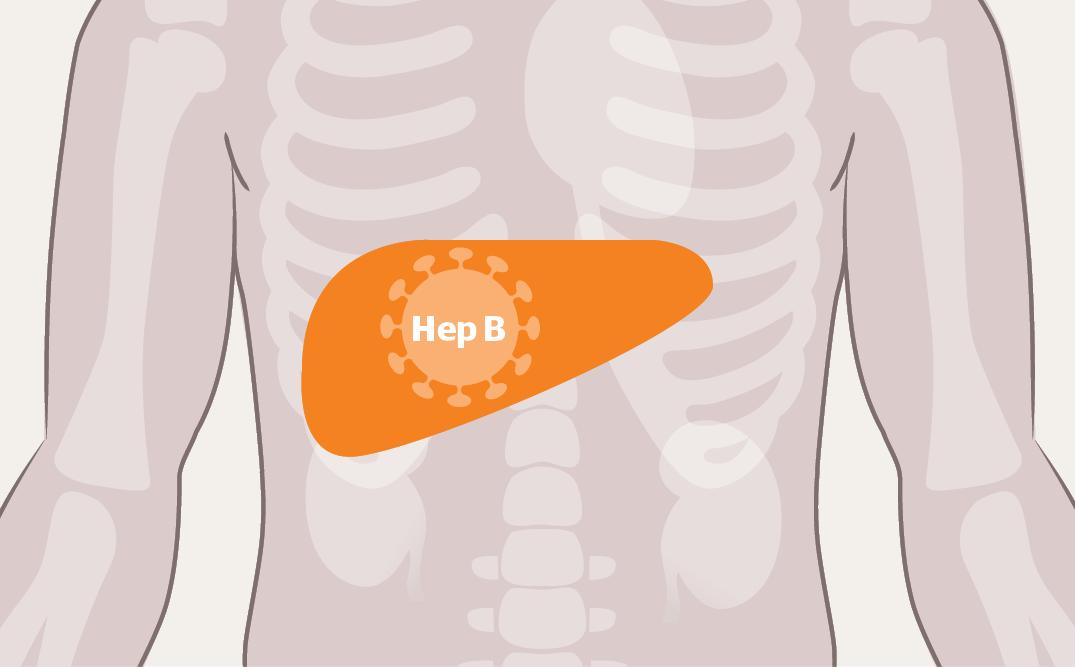 打乙肝疫苗不产生抗体怎么办,打乙肝疫苗也没有抗体怎么办