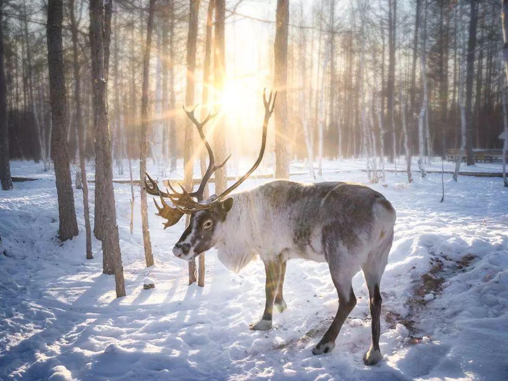 好玩不贵的跨年旅行线路推荐,适合跨年旅游的地方推荐