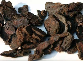 地黄为什么持续上涨,鲜地黄会发芽吗