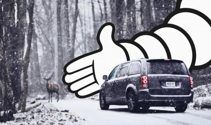 平面设计软件免费自学app,成人自学平面设计培训班