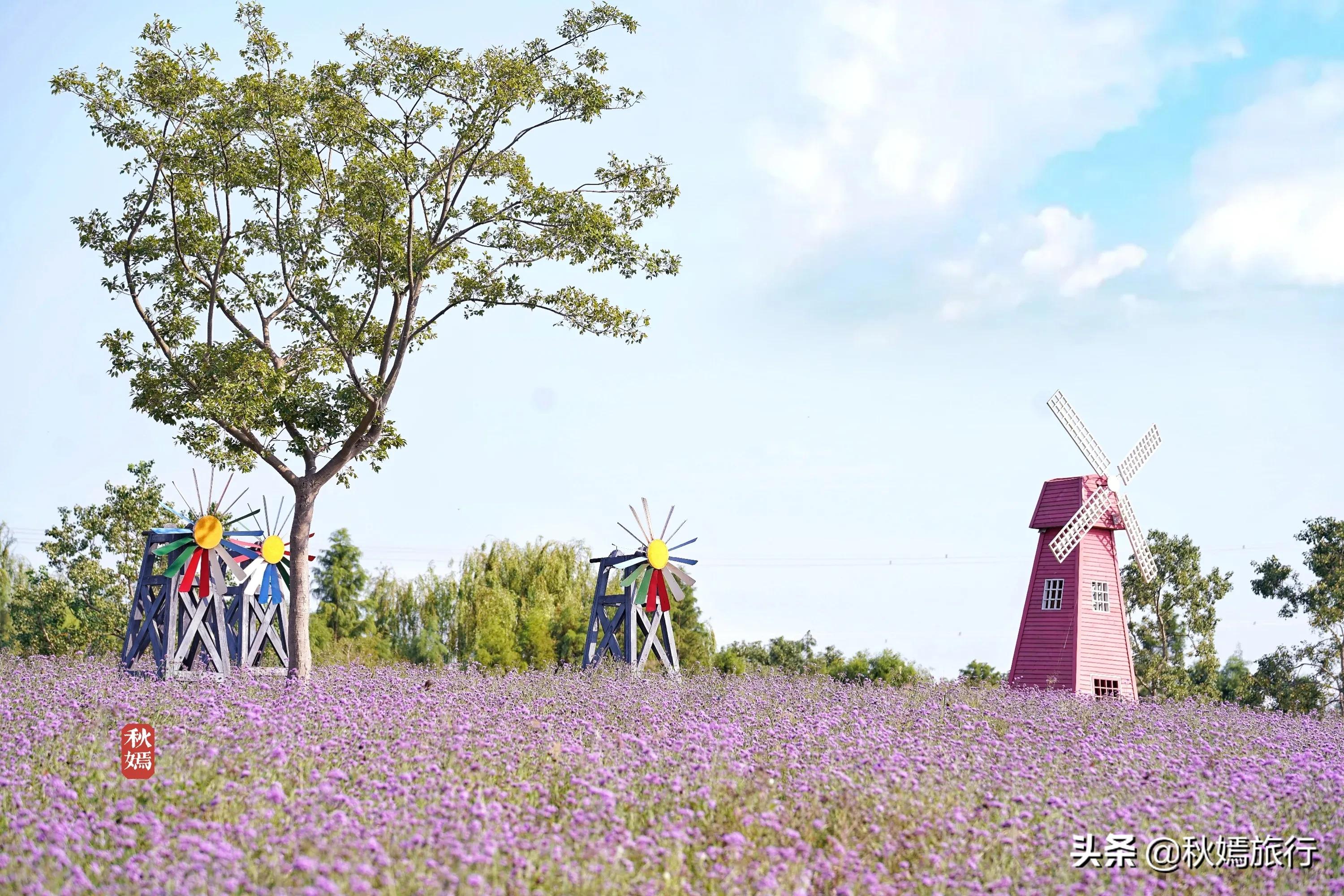 苏州吴中太湖新城苏州湾湿地公园,苏州湿地免费公园虎丘