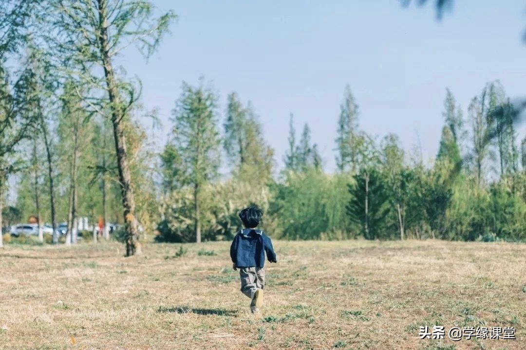 教育专家李玫瑾案件,教育专家李玫瑾不要越位