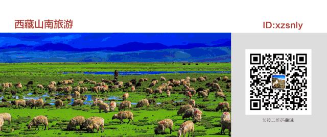 胃没装满眼睛胀，老板你是开展馆的吧？