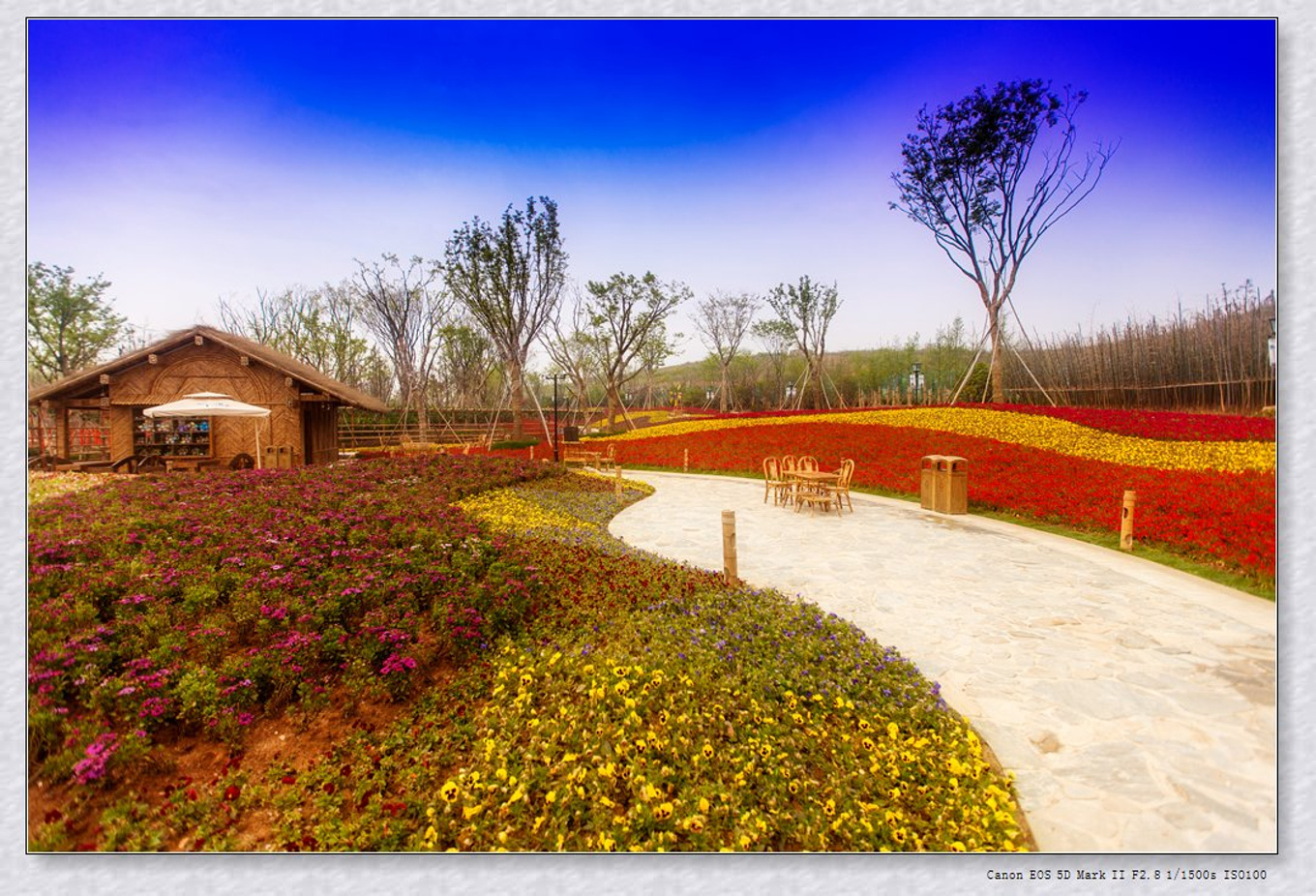 常州旅游东方盐湖城,骆驼之旅视频