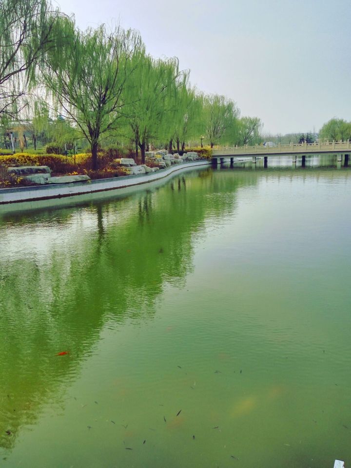 山东昌邑市第一中学,山东前十高中昌邑一中