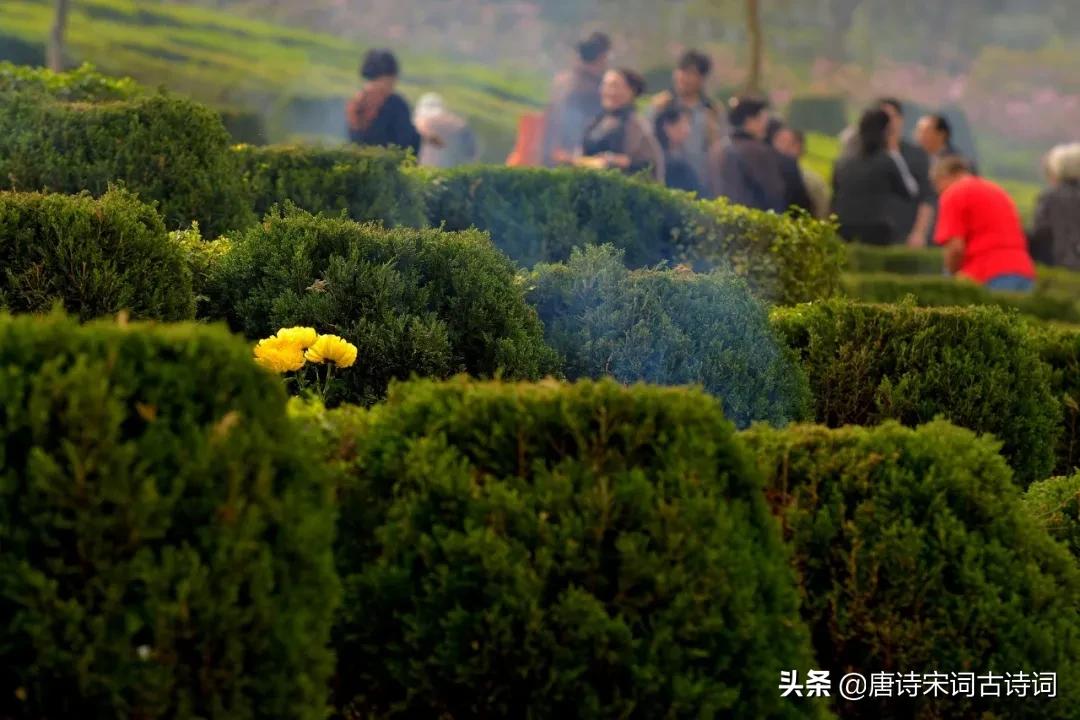 寒食古诗诗意100字,寒食节必读十首诗词