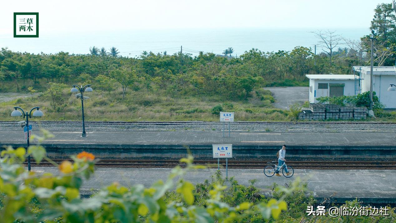 三草两木我们这十年,三草两木用后感悟