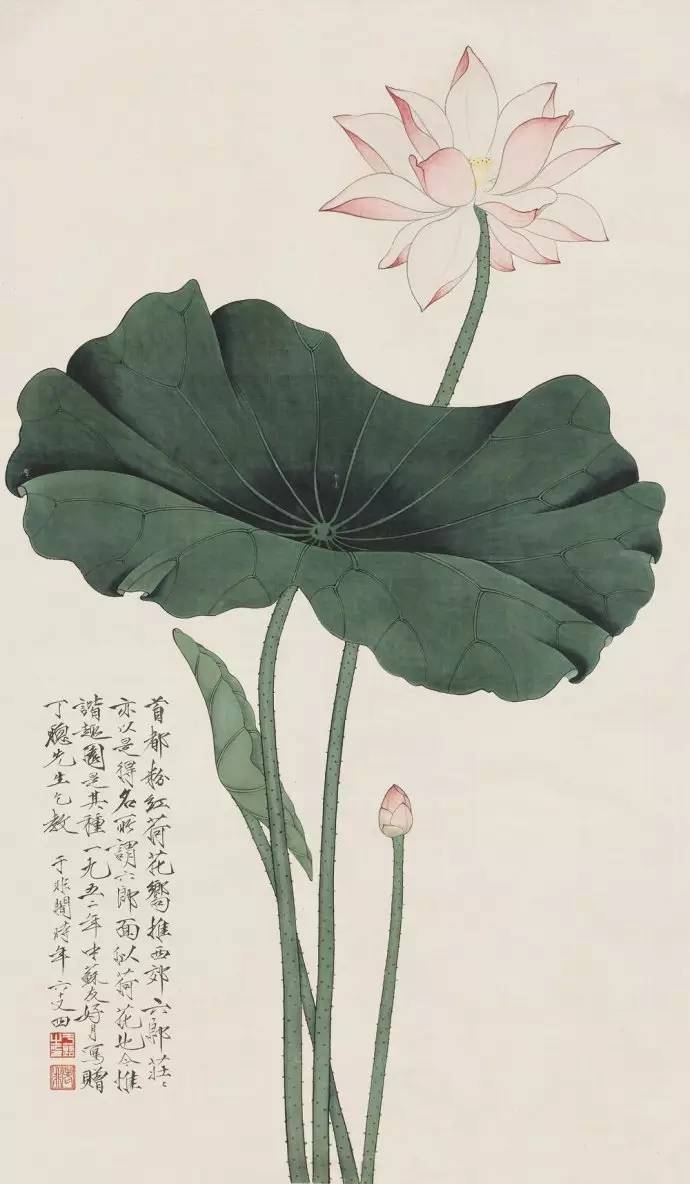 工笔画怎么画才能不脏,工笔画怎么画得透