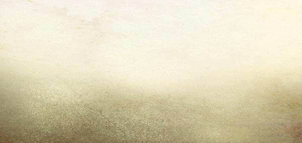 adidas经典鞋款推荐,adidas鞋各种款