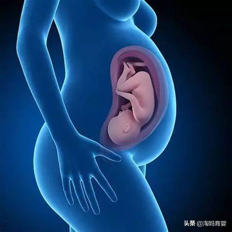 胎位什么时候能固定,怀双胞胎一般几周胎位开始固定