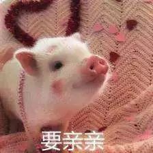 过年当城里的Cindy变回了翠花，这些单品让你洋气地拜年！