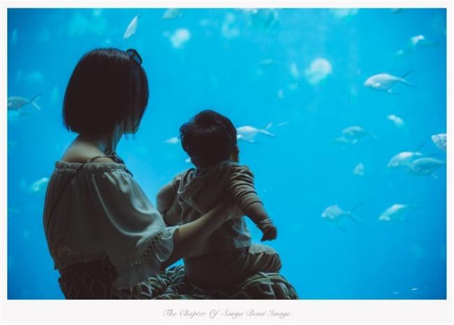 一家四口去三亚旅游既省钱又开心,带两个娃去三亚旅游