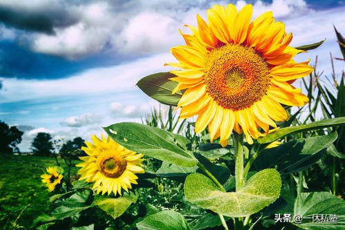 身体热关节怕风怕凉是什么原因,身体热怕冷怕凉怎么治疗