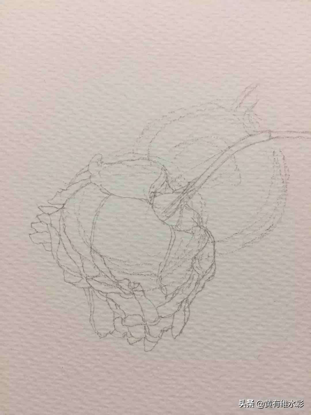 33朵玫瑰制作全过程,英伦花教程