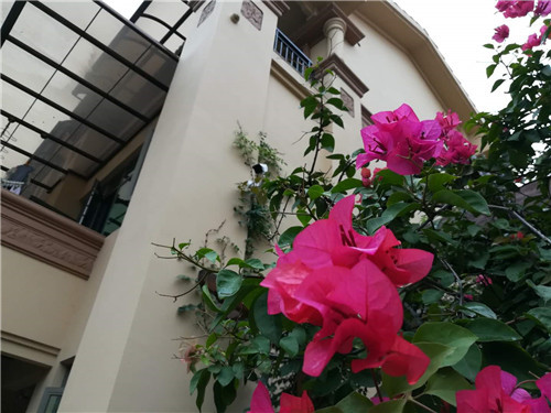 监控摄像头安装方法与关注事项,专业安装监控摄像头需要什么