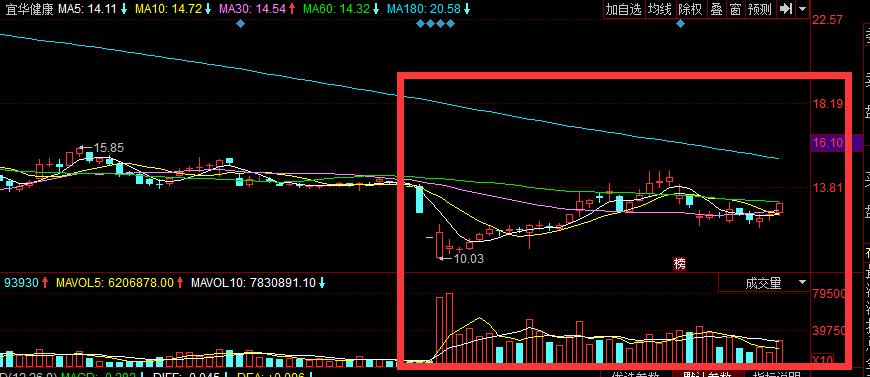 市场的春天,宜华健康能重头上市吗