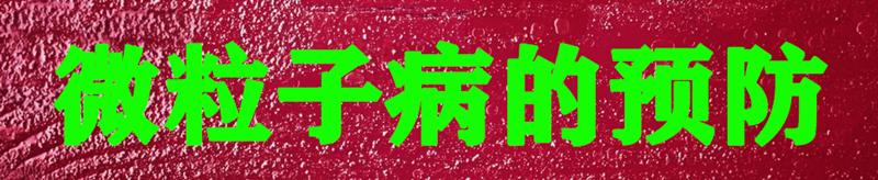 养蚕蚕虫病怎么治,养蚕病害