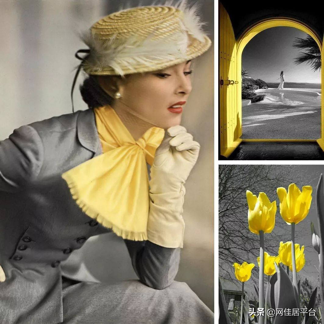 让邻居都羡慕的房子长什么样,99%人都喜欢的别墅