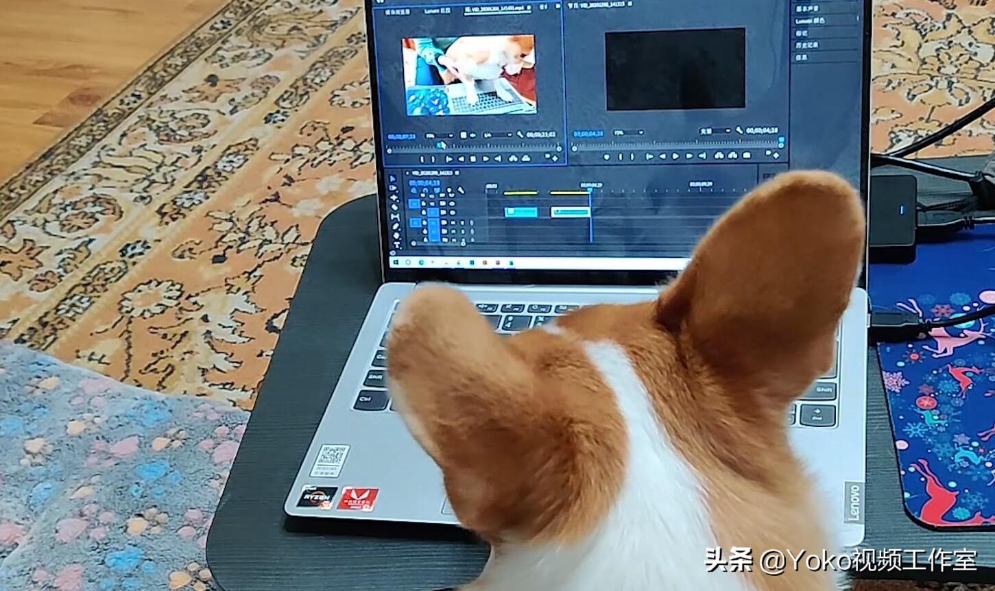 「网购电脑」五条关注事项！拼夕夕百亿补贴靠不靠谱？