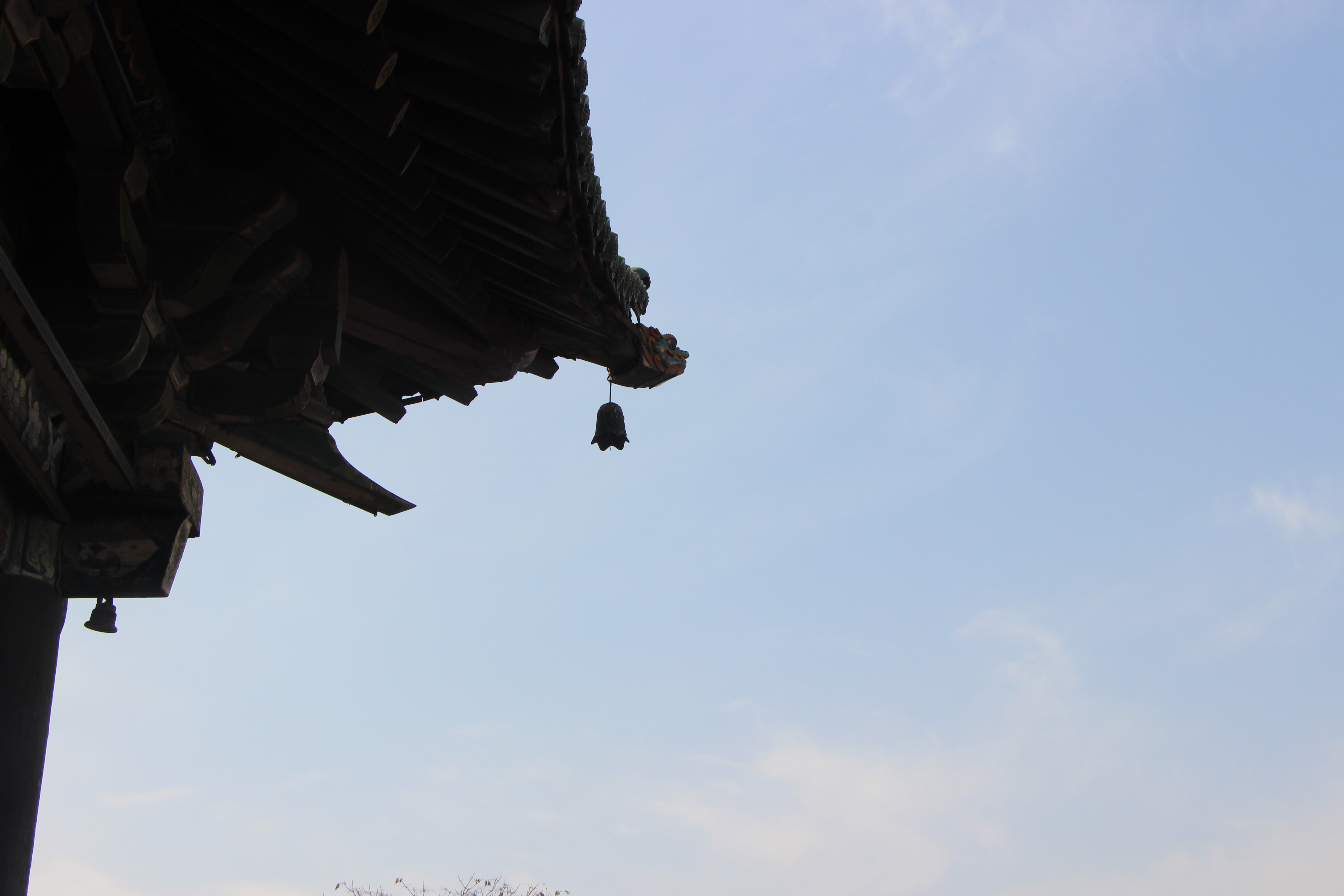 法硕能考广东地区什么公务员,山东法硕考山东公务员好考吗