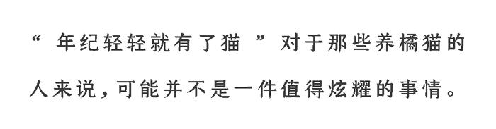 猫圈玄学，十橘九渣