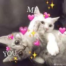 暧昧期最舒服的相处方式,暧昧期怎么才能让感情快速升温