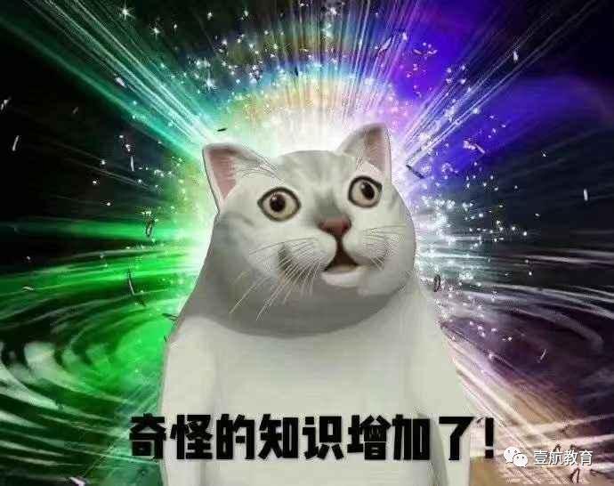 苹果螺怎么养着养着就只剩下壳了,苹果螺怎么保持颜色