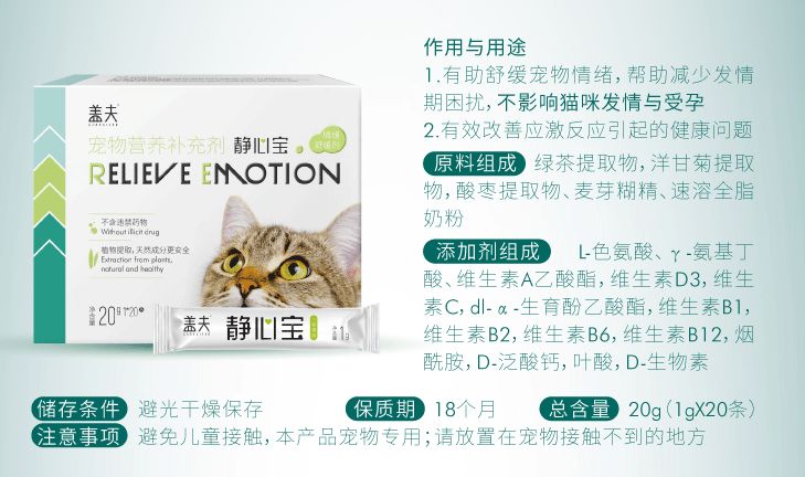 养猫关注事项禁止摸其它小猫,养猫须知禁止冷暴力卡点