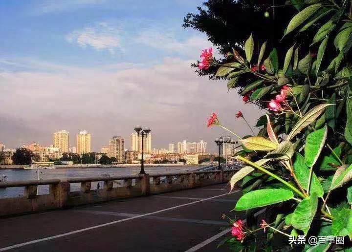 芳村有发展前景吗,芳村最新消息今天