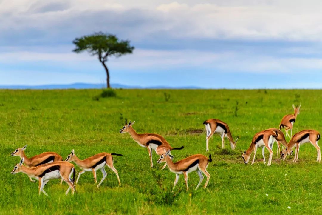 地球上长得最不像地球的地方,世界上最不像地球的地方风景