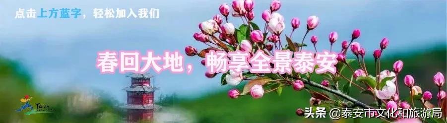 泰山温泉城好去处,冬日泰山温泉城