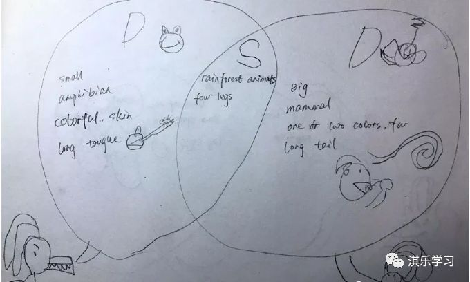 razaa要熟练掌握吗,razaa是什么