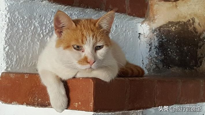 希腊旅游关注事项携程,希腊自由行最新旅游攻略