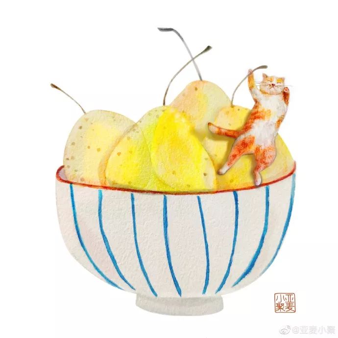 可爱的橘猫插画,一组可爱的治愈系猫咪插画