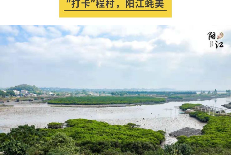 广东生蚝最好吃的地方,广东哪里吃生蚝最便宜