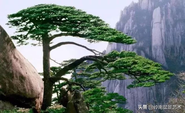 中国十大千年古寺古刹之首,中国十大千年古尸容貌复原成功