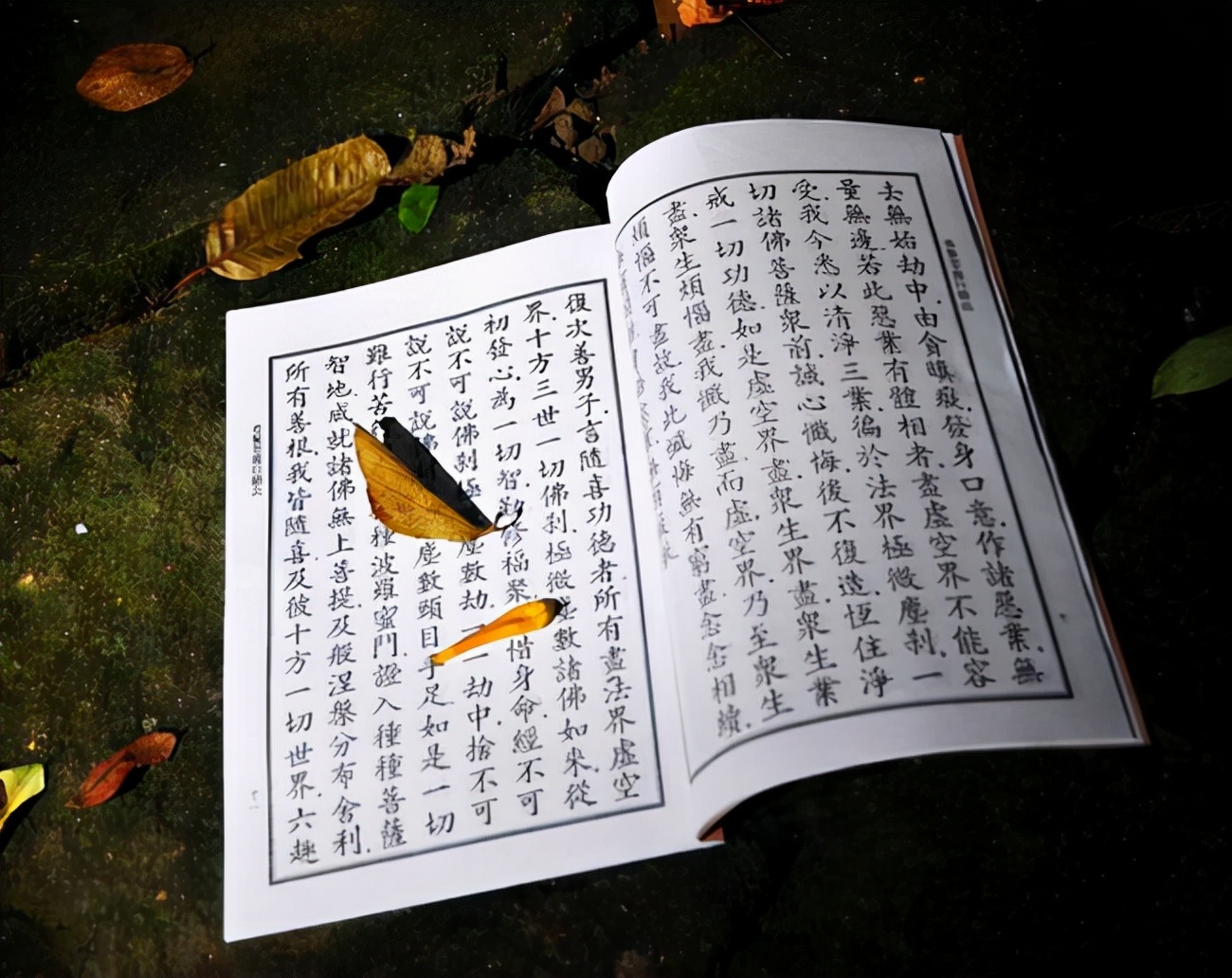 佛法也有副作用，修行者走火入魔，跋求摩河*案惨**超60名比丘被杀死