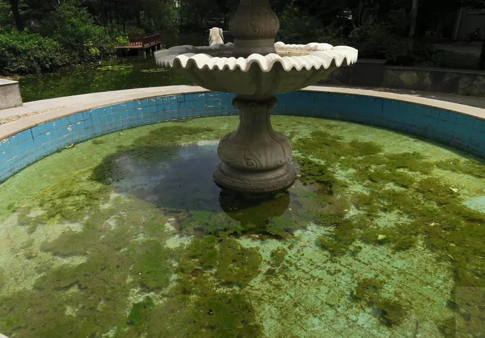 阜阳4大被物业拉胯的小区！房价只跌不涨，物业屡被吐槽