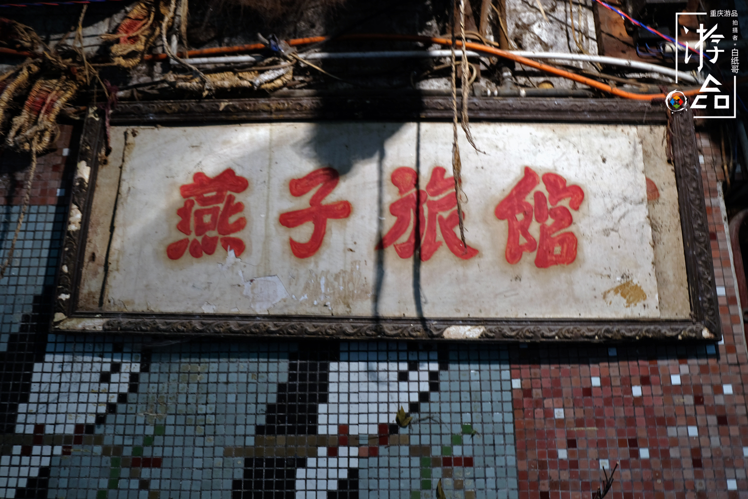 谁都逃不掉命运,谁都逃不掉的命运