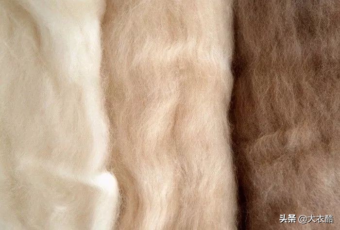 别傻乎乎分不清“羊绒大衣”和“双面呢大衣”，为什么差别10倍？