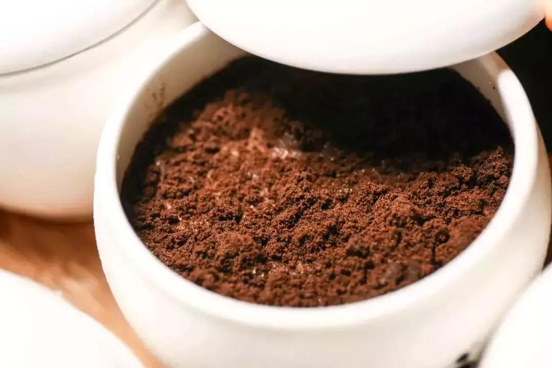 成都网红树屋,网红树屋成都