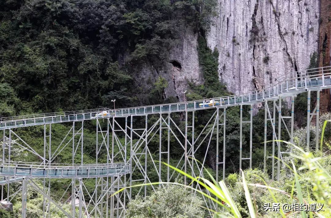 遵义可以放松看风景的地方,遵义附近避暑打卡景点