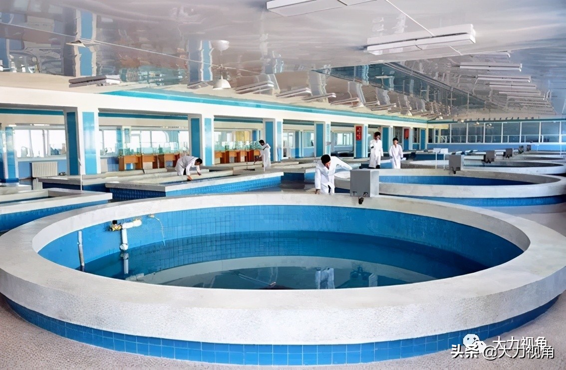 收藏海参干货,朝鲜有哪些有收藏价值的东西