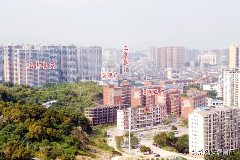 地块拍卖价330万,土地竞拍楼面价